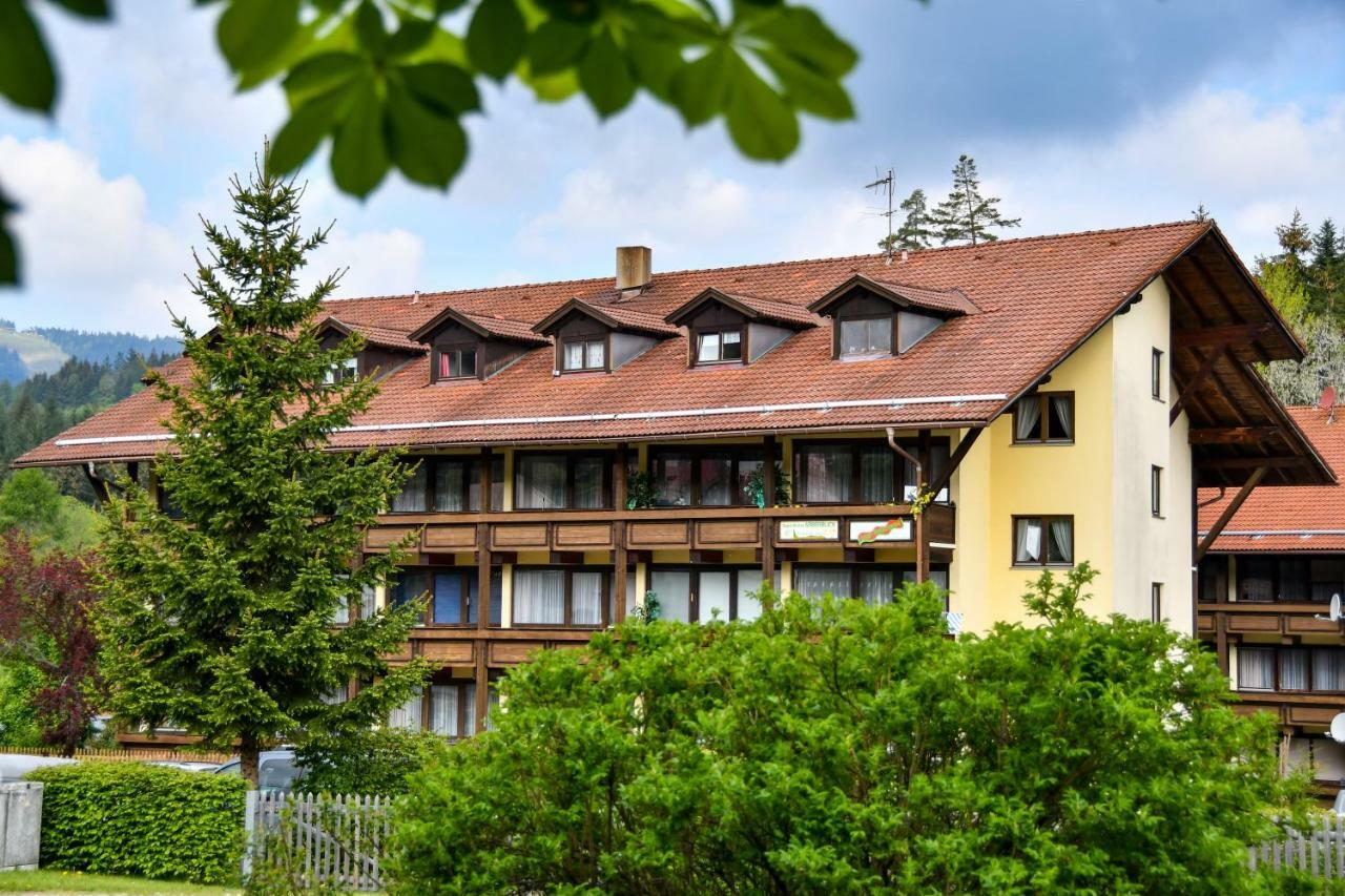 באייריש אייסנשטיין Appartements Zum Arber מראה חיצוני תמונה